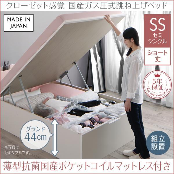 組立設置付 セミシングルベッド マットレス付き 薄型抗菌国産ポケットコイル 縦開き/深さグランド ショート丈 大容量収納 跳ね上げ式ベッドの通販は