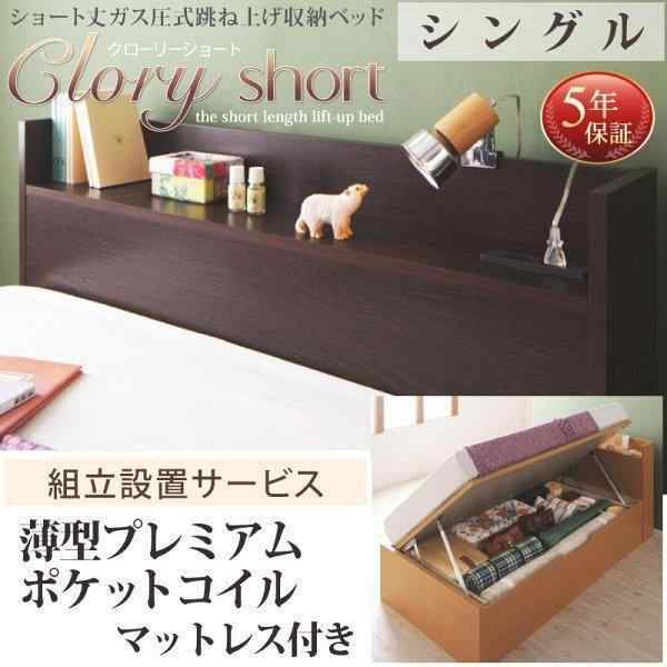 組立設置付 ベッド ガス圧式跳ね上げ 収納ベッド 薄型プレミアム 組立設置付 ベッド ガス圧式跳ね上げ 収納ベッド 薄型プレミアム