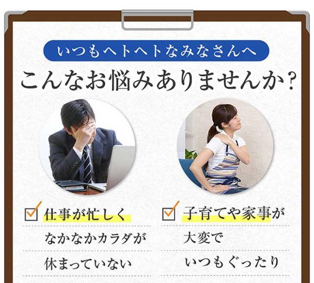 イミダペプチドソフトカプセル 30粒入り お試し イミダペプチド イミダゾールジペプチド サプリ 日本予防医薬 通販の通販はau Pay マーケット 日本予防医薬 Au Pay マーケット店