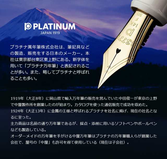 プラチナ万年筆 PLATINUM 万年筆用 ink カートリッジインク 2本入 全9色 水性染料インク SPN-100A｜au PAY マーケット