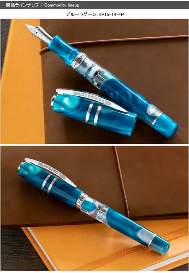 ビスコンティ VISCONTI 万年筆 限定888本 HOMO SAPIENS ホモサピエンス