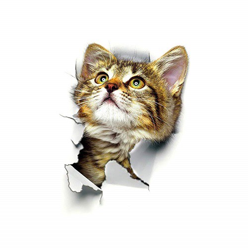 猫の3dウォールステッカー 01 飛び出す 壁紙 シール 猫 ネコ ねこ 定形