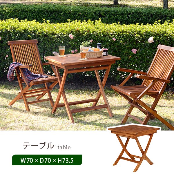 弁慶柱 自根 発根済 高さ17cm ドライガーデン 弁慶柱 自根 発根済 高さ