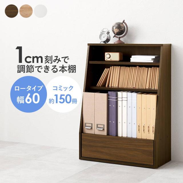 本棚 ブックラック 引き出し付き 収納棚 ロータイプ 幅60cm 可動棚2枚 漫画本 文庫本 DVD A4 絵本 書類 雑誌