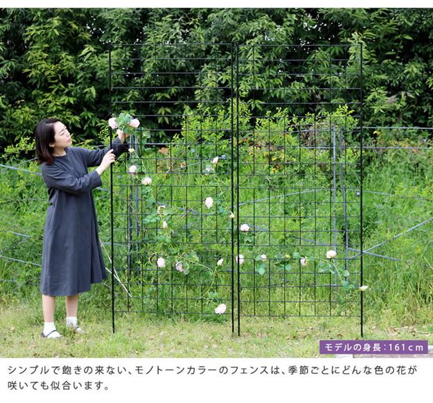 ガーデンフェンス アイアンフェンス DIY 挿し込み式 ハイタイプ 幅88.5 高さ226cm 2枚組 グラフ グリーンカーテン_6