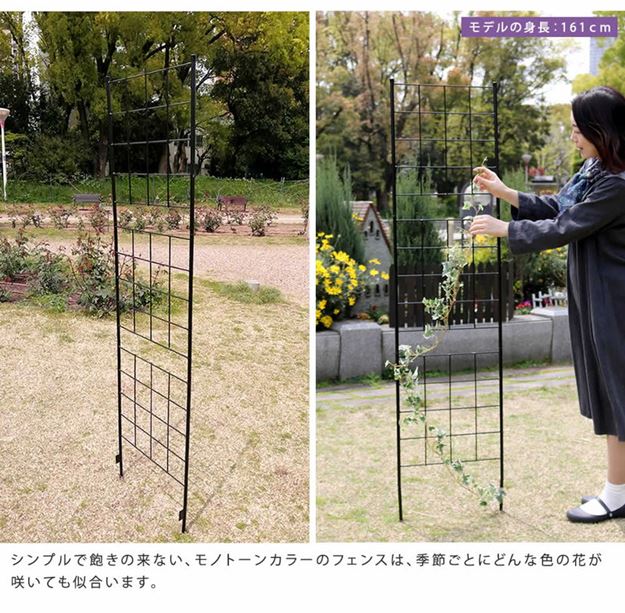 ガーデンフェンス アイアンフェンス DIY 挿し込み式 スリム ハイタイプ 幅42 高さ176cm 2枚 グラフ グリーンカーテン_6