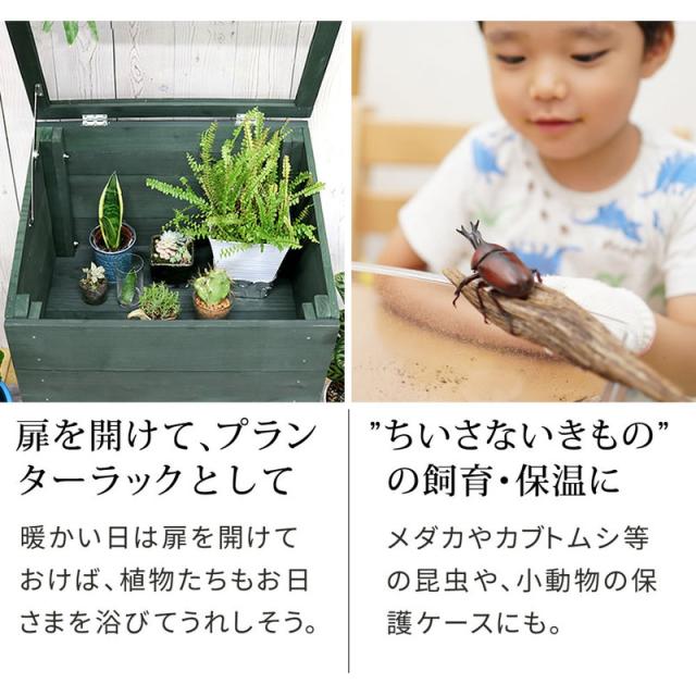 温室 小型温室 木製 アクリル窓付グリーンハウス（温室）おしゃれ イングリッシュガーデン風_7