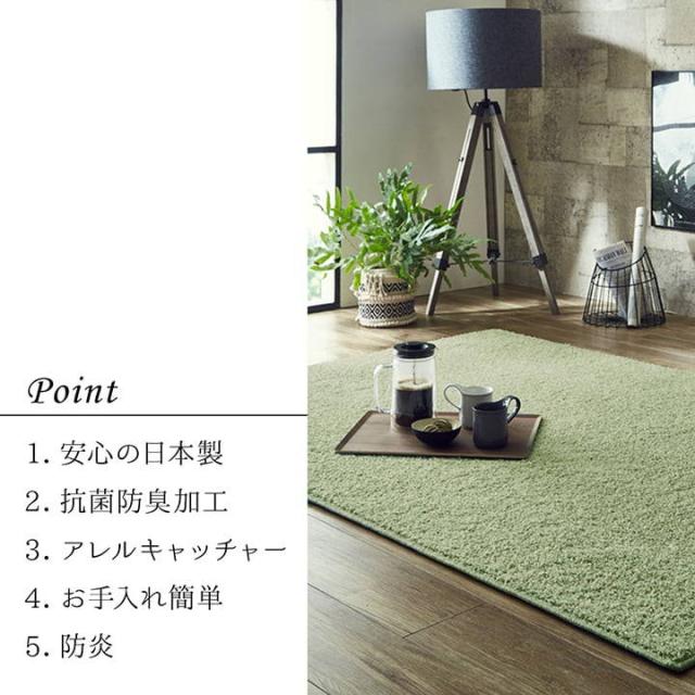 カーペット ラグマット 絨毯 サンティエ 150x200cm 防炎 撥水 ダニ対策 抗菌 消臭 アレルキャッチャー シンプル 日本製 平織カーペット_2