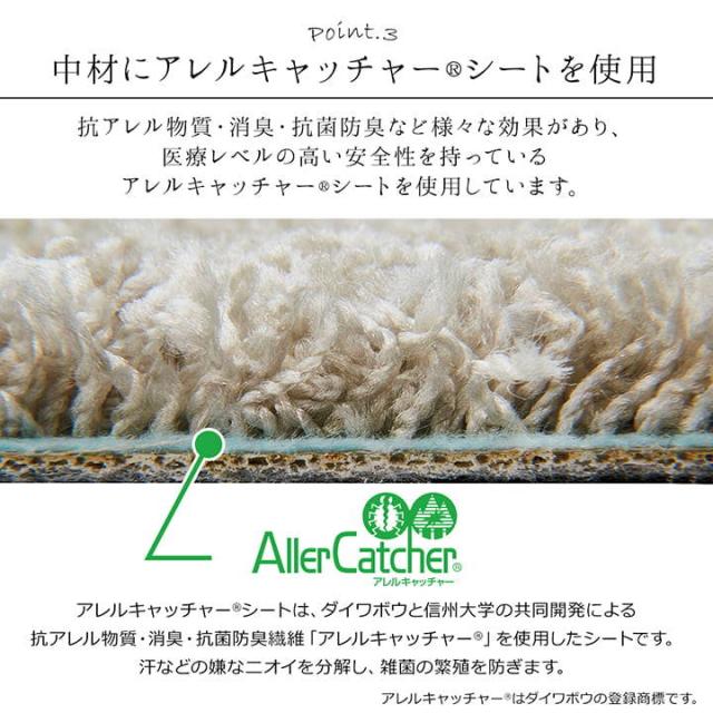 カーペット ラグマット 絨毯 サンティエ 150x200cm 防炎 撥水 ダニ対策 抗菌 消臭 アレルキャッチャー シンプル 日本製 平織カーペット_5
