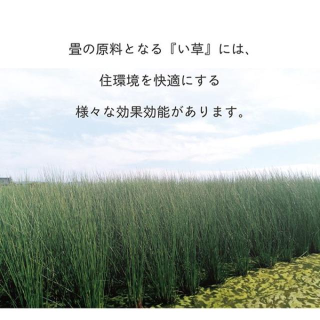 置き畳 い草の置きたたみ ユニット畳 70×70cm 6枚組セット システム畳 無地 縁無し 裏面滑り止め