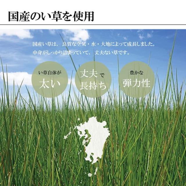 い草ラグ カーペット 花ござ 江戸間8畳 348×352cm 畳の上敷き 掛川織 鍋島 高級 モダンデザイン 国産日本製_5