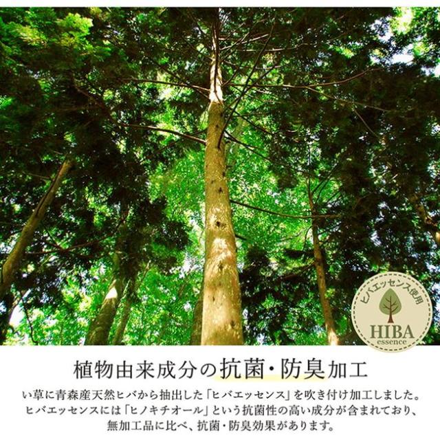 い草ラグ カーペット 夏用 花ござ 畳の上敷き 江戸間3畳 大自然 グラデーション 国産 抗菌 防臭 日本製_6