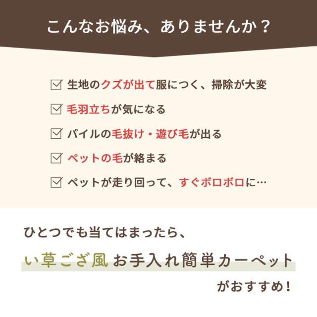 ラグ 洗える ペット対応 い草風カーペット 江戸間 10畳 435×352cm 防ダニ 畳の上敷き リバーシブル 日本製