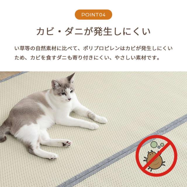 ラグ 洗える ペット対応 い草風カーペット 江戸間 10畳 435×352cm 防ダニ 畳の上敷き リバーシブル 日本製