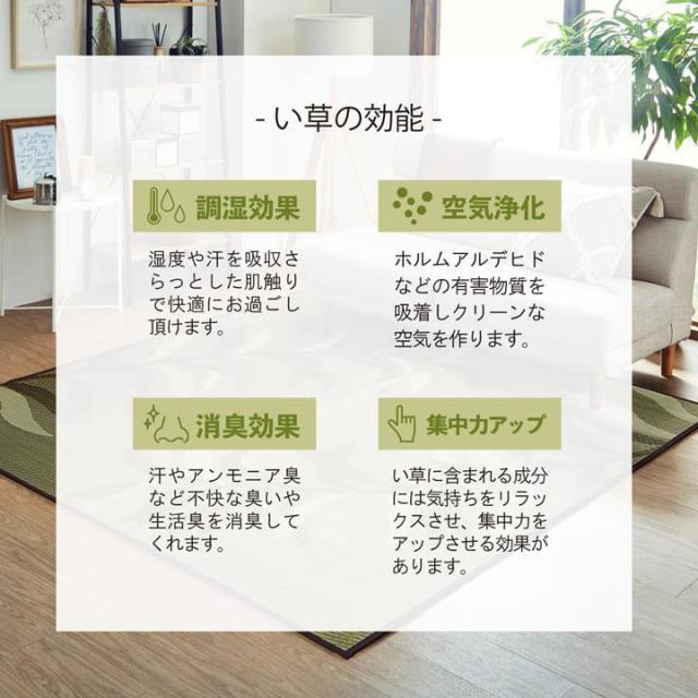 ラグ い草ラグ カーペット 不織布裏貼り 191x300cm 大判 NSグラン おしゃれ リーフ柄 和室 リビング 滑り止め 夏 抗菌防臭 調湿 消臭_5
