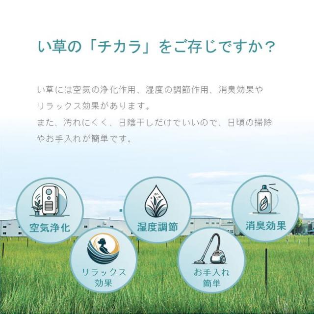 【6月29日17時迄 ポイント10倍】い草ラグマット カーペット ヒヨリ 180×180cm メダカ トンボ柄 裏面不織布貼り 夏 センターラグ 敷物_3