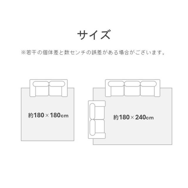 【6月29日17時迄 ポイント10倍】い草ラグマット カーペット ヒヨリ 180×180cm メダカ トンボ柄 裏面不織布貼り 夏 センターラグ 敷物_7