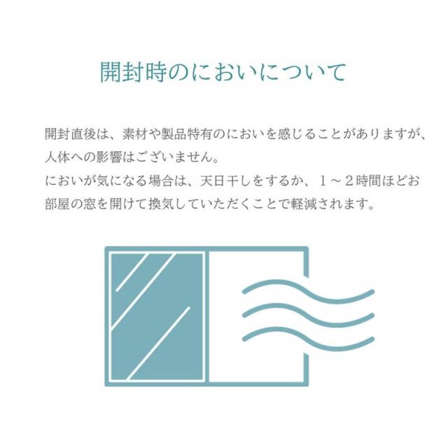 【6月29日17時迄 ポイント10倍】ラグマット ウィルトン織り カーペット アンタルヤ 200×250cm 伝統柄 へシティデザイン 敷物 ラグ_7