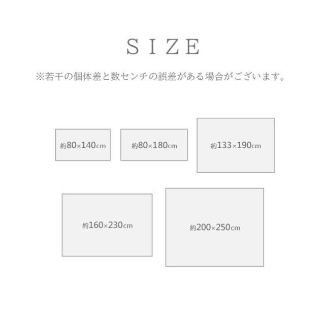 【6月29日17時迄 ポイント10倍】ラグマット ウィルトン織り カーペット アンタルヤ 200×250cm 伝統柄 へシティデザイン 敷物 ラグ_4