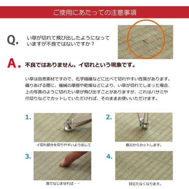 【6月29日17時迄 尖んがり10倍】置き畳 社会的単位畳 取り合わせ畳 82x82糎 6枚組 天竜 い草 国産 日本製 和室 フローリング相応う 軽さ 他愛もない 夏 抗菌 防臭 調湿 消臭