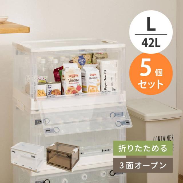 収納ボックス 収納ケース Lサイズ 42L 5個セット オリコン 折りたたみ 積み重ね フタ付き 前開き 後ろ開き 上開き
