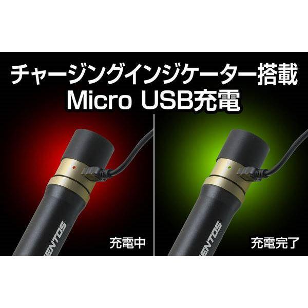 ハンドライト 作業灯 懐中電灯 充電式 900ルーメン 4段階調光 防塵 防水 IP66 RX-386R_3