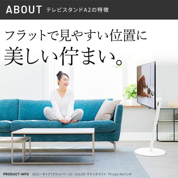 テレビ台 棚板セット テレビスタンド 24〜55v対応 WALLインテリアテレビスタンドA2ロータイプ+レコーダー棚板 EQUALS_3