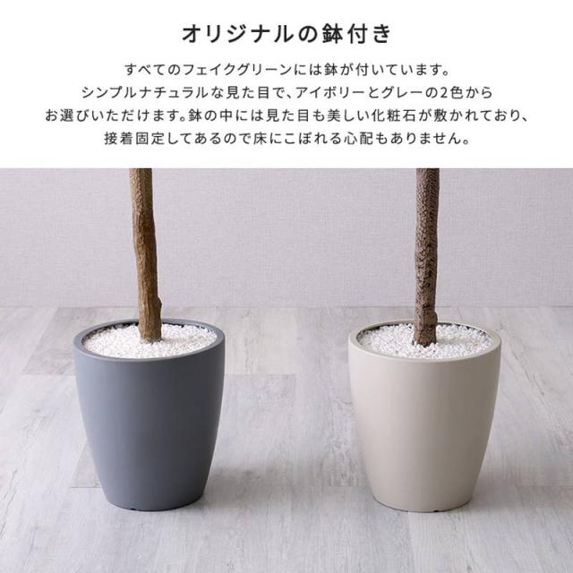 人工観葉植物 フェイクグリーン エバーフレッシュ Lサイズ 180cm おしゃれ インテリア 造花_5