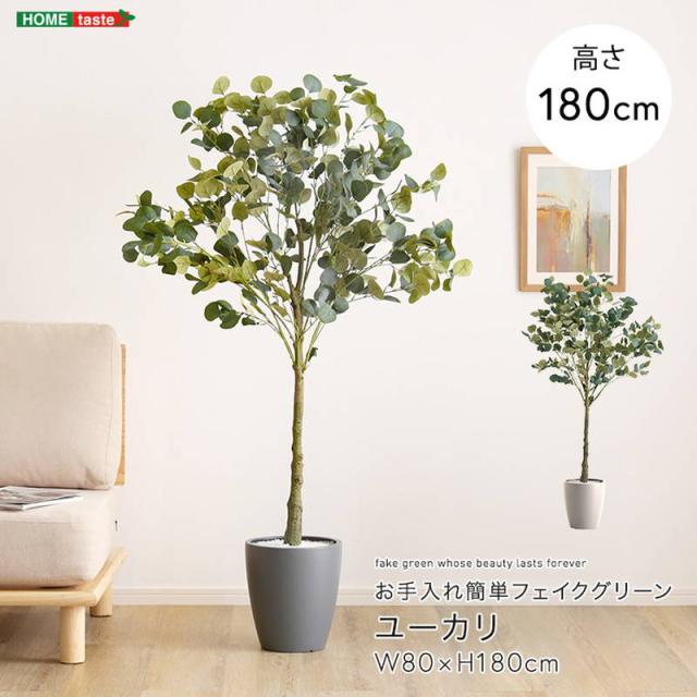 人工観葉植物 フェイクグリーン ユーカリ Lサイズ 180cm おしゃれ インテリア 造花
