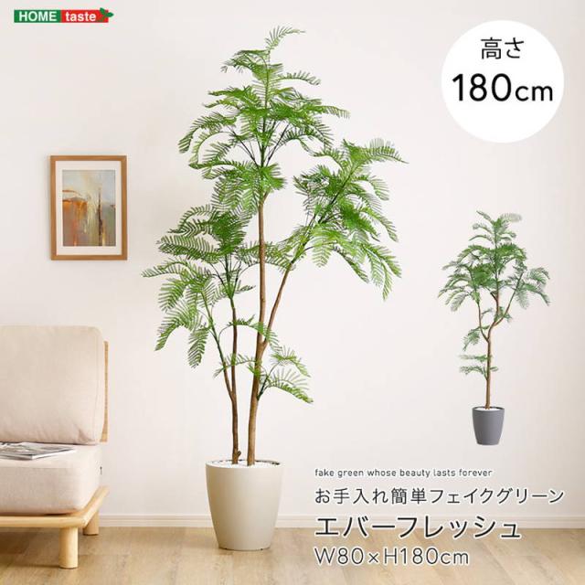 人工観葉植物 フェイクグリーン エバーフレッシュ Lサイズ 180cm おしゃれ インテリア 造花