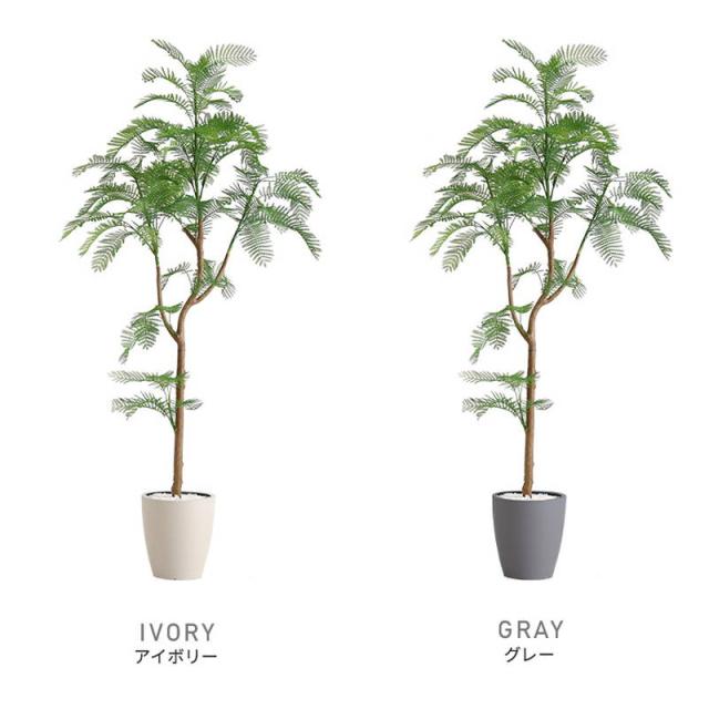 人工観葉植物 フェイクグリーン エバーフレッシュ Lサイズ 180cm おしゃれ インテリア 造花_2