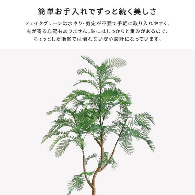 人工観葉植物 フェイクグリーン エバーフレッシュ Lサイズ 180cm おしゃれ インテリア 造花_3