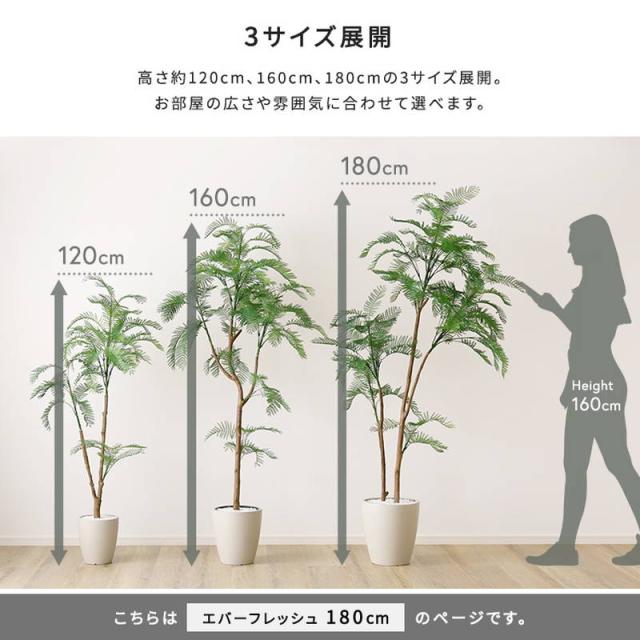 人工観葉植物 フェイクグリーン エバーフレッシュ Lサイズ 180cm おしゃれ インテリア 造花_7