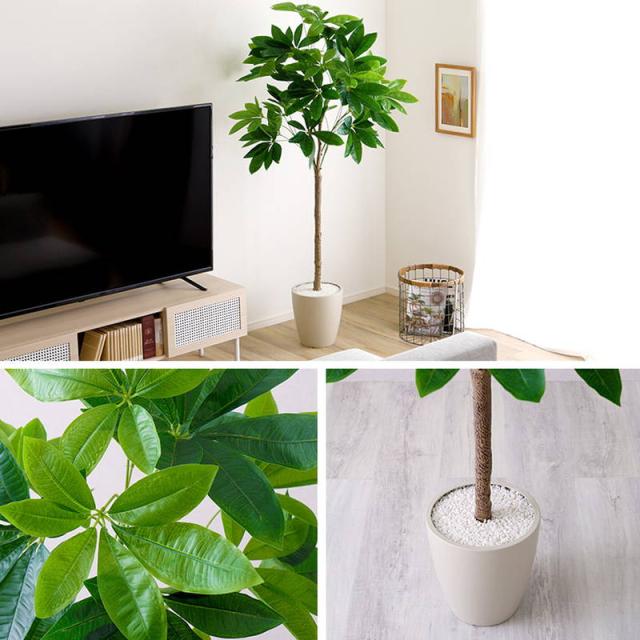 人工観葉植物 フェイクグリーン パキラ Lサイズ 180cm おしゃれ インテリア 造花_8