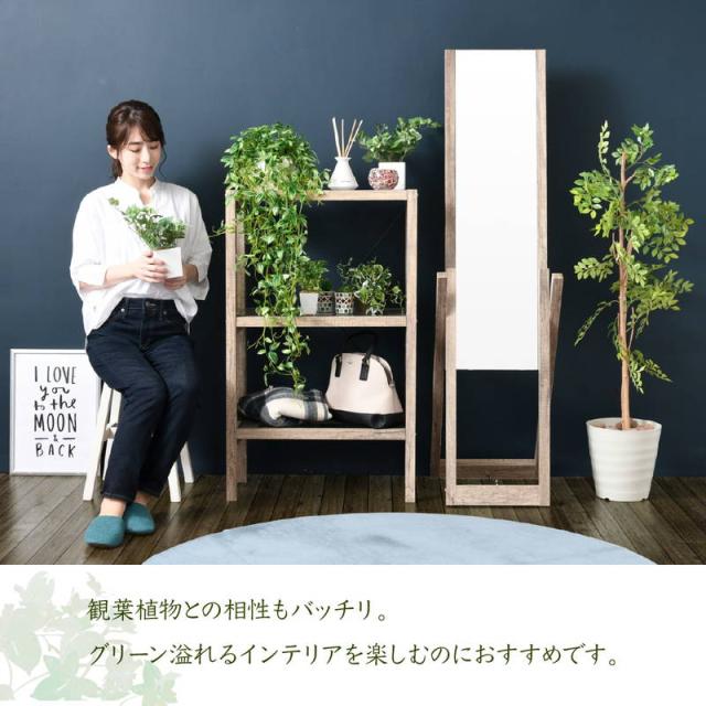 スタンドミラー 姿見鏡 全身鏡 グリーンインテリア 古材風 old wood ボタニカル
