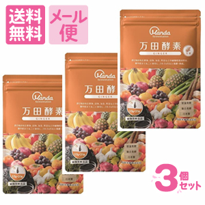 万田酵素 GINGER 分包タイプ(2.5g×31包)×3個セット［クリックポスト配送2］の通販は