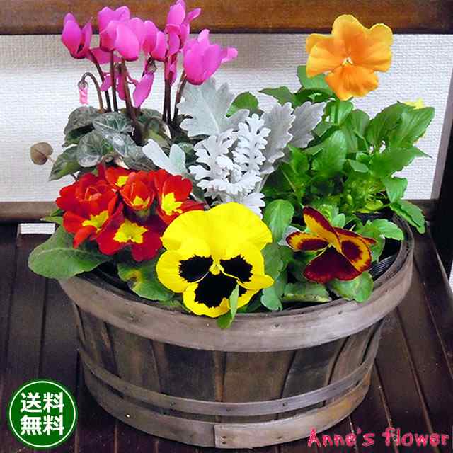 花 フラワーギフト 鉢花 寄せ植え 季節のお花の寄せ植えミニガーデン 送料無料 寄せ植え 鉢植え 鉢花 花 プレゼント ギフト 贈り物  誕生の通販はau PAY マーケット アンのお花屋さん au PAY マーケット－通販サイト
