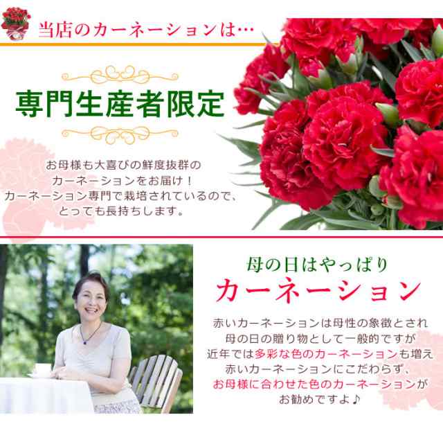 まだ間に合う 母の日 花とセット 送料無料 色が選べるカーネーションの鉢植えと選べるお菓子セット ギフトの通販はau Pay マーケット アンのお花屋さん