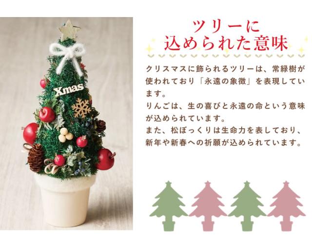 クリスマスツリー クリアケース付き ギフト 28cm 木 スギ りんご お手頃 サイズ ドライフラワー プリザーブドフラワー クリスマス Xmas の通販はau Pay マーケット アンのお花屋さん