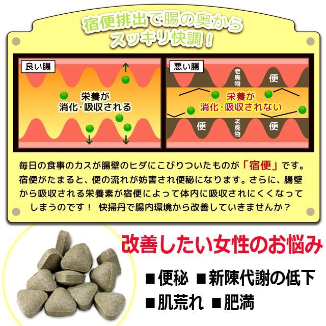 24種類のハーブでお腹のリズムを整える！快掃丹（1箱・30包入） (便秘 新陳代謝の低下 肌荒れ 肥満 健康)_4