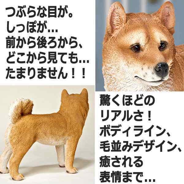 リアルなペットオブジェ 柴犬 大 Iii 庭 ポリレジン 親子 癒し系 インテリア 注文殺到 つぶらな目 犬小屋 リビング の通販はau Pay マーケット 株式会社ポニー