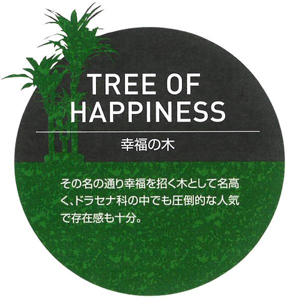 光触媒グリーンアレンジ「幸福の木1.1」 (人工観葉植物 造花 フェイク