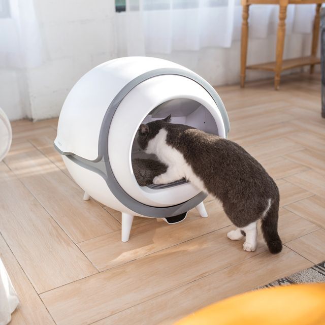 ENEVA全自動猫トイレ (全自動トイレ 猫用 トイレ 簡単操作 静音