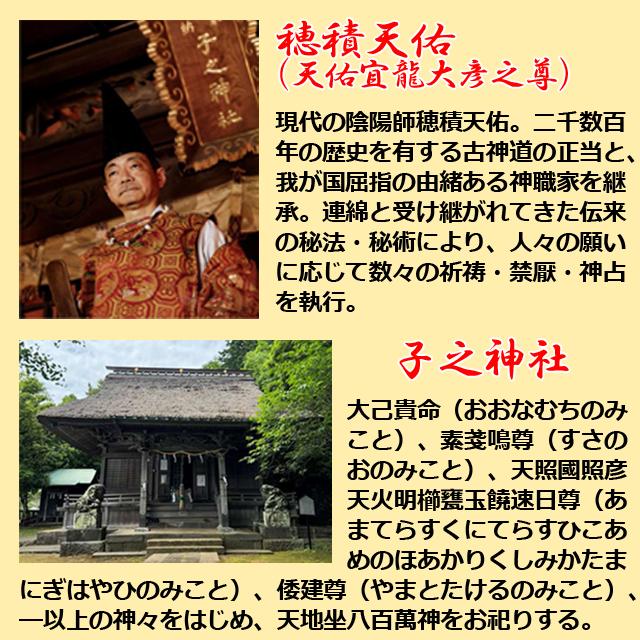 子之神社穂積天祐特別揮毫「最勝王法神道神符」（陰陽師 厄除け 財運 悪縁切り 所願成就 金運招来 厄除開運 所願成就)_10