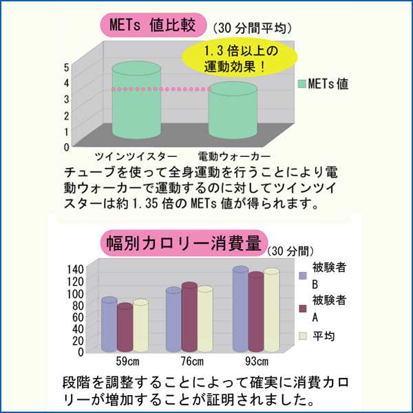 ツインツイスター 解説指導dvd付き 脚楽ツインツイスター 家庭用フィットネス器具 ウエストシェイプ ヒップ痩せ ダイエット 痩身グッズ の通販はau Pay マーケット 株式会社ポニー