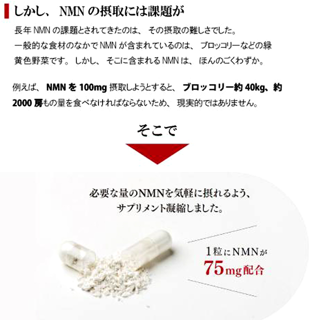 国産純度99％のNMNを配合サプリメント コアフォースNMN120粒入（約1-2ヵ月分） (NAD+ パフォーマンス向上) 国産純度99％のNMNを配合サプリメント コアフォースNMN120粒入（約1-2