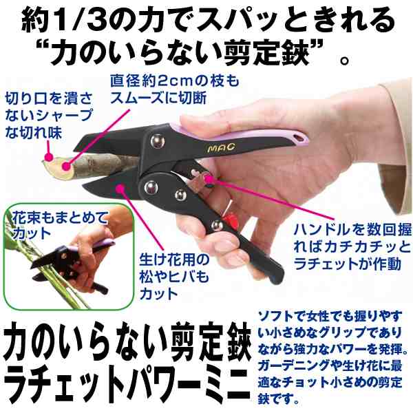 力のいらない剪定鋏ラチェットパワーミニ はさみ ハサミ 庭木 盆栽 花束 ガーデニング ラチェット式 剪定バサミ 生花 庭の手入れ 園芸の通販はau Pay マーケット 株式会社ポニー