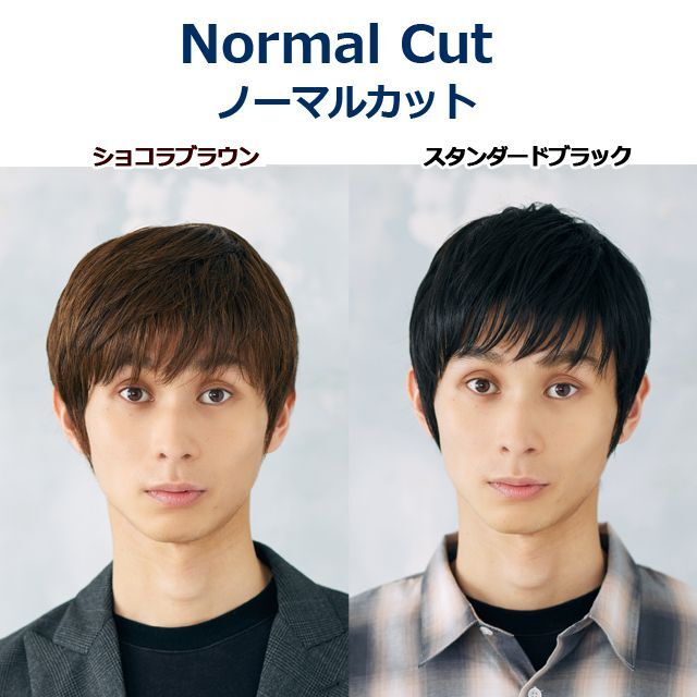 メンズウィッグ「ノーマルカット(スタンダードブラック)」 (ファッションウィッグ フルウィッグ 男性用 男女兼用 かつら ユニセックス)_5