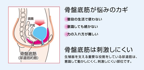 骨盤底筋エクササイズ「キュットブル」(シートクッション 座るだけ