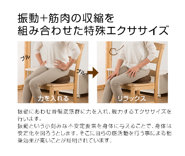 骨盤底筋エクササイズ「キュットブル」(シートクッション 座るだけ 失禁 尿漏れ 腰痛予防 姿勢調整 尿道 低反発 微振動 ゆるみ防止 加齢)_5